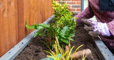 Plantenbakken die jouw buitenruimte afmaken plantenbak
