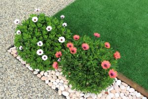 onderhoudsvriendelijke tuin