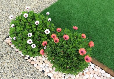 onderhoudsvriendelijke tuin