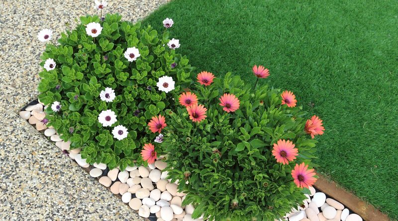 onderhoudsvriendelijke tuin