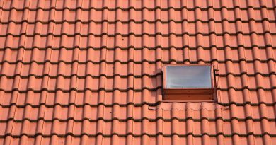 Dakpannen die perfect passen bij kempische architectuur