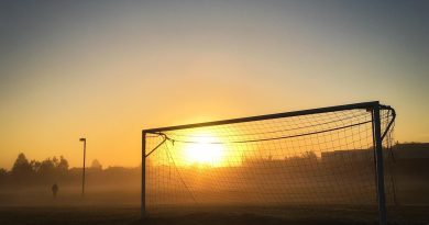 Innovatieve oplossingen voor sport, tuin en veiligheid met netten en doeken